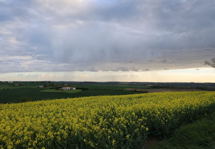 Des photos de la maison de Thierry M.