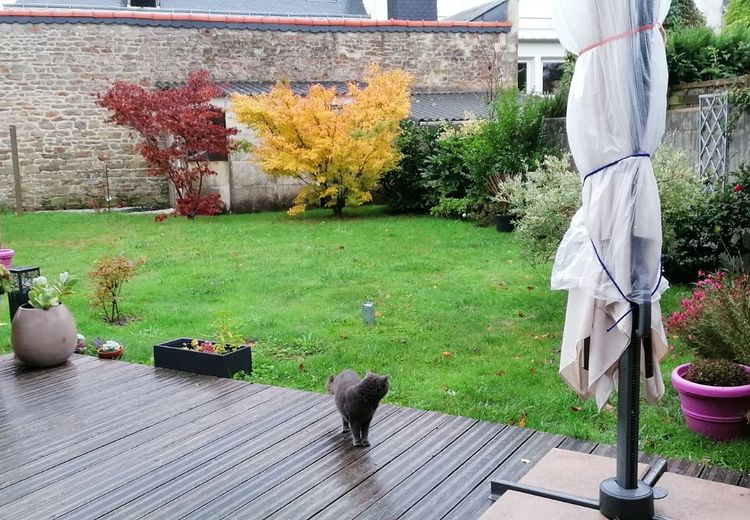 Des photos de la maison de Evelyne P.