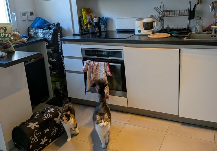 Des photos de la maison de Anémo92