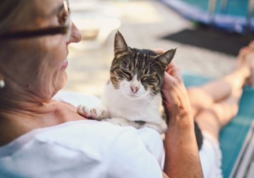 House-sitting offers warmth, companionship, and meaningful experiences.