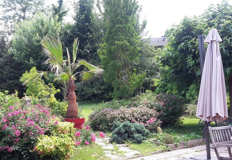 Pictures of NADINE R.'s house