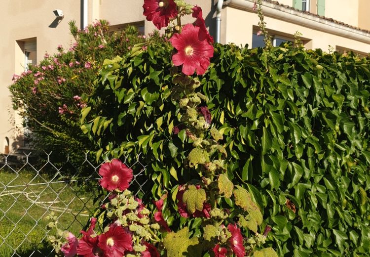 Des photos de la maison de Helene G.