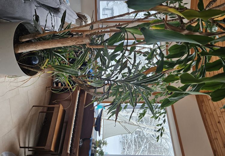 Pictures of Sarah's house