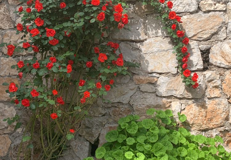 Pictures of Franck et Marie pierre's house