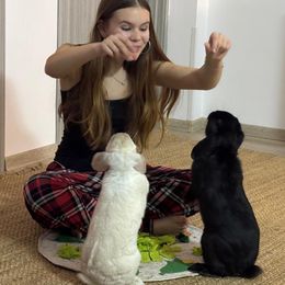 Pictures of Emily's house