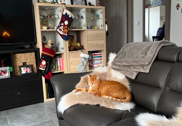 Pictures of Bertrand D.'s house