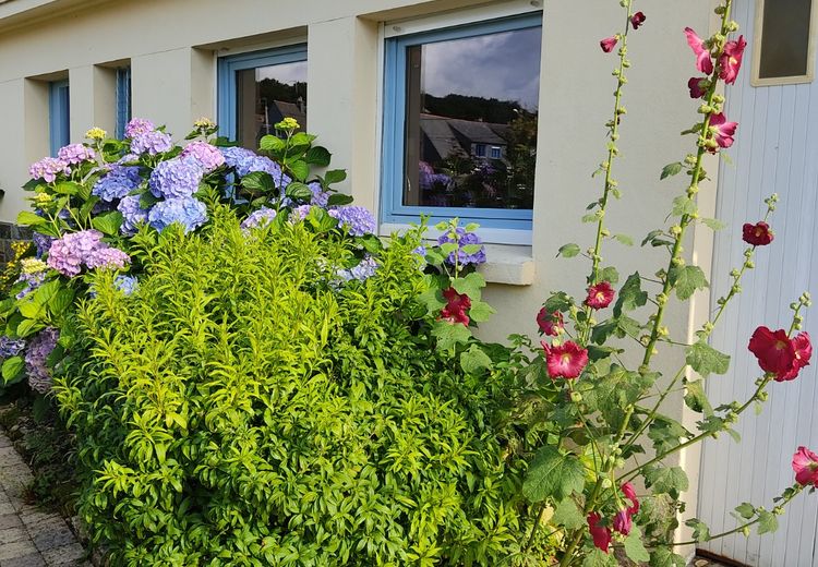 Pictures of Isabelle H.'s house
