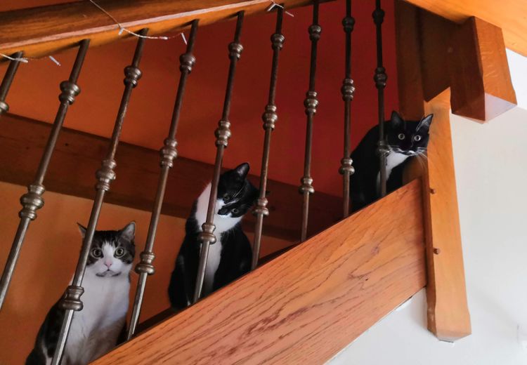 Pictures of Amandine M.'s house